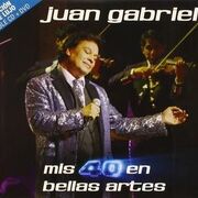 Mis 40 En Bellas Artes