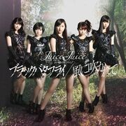 ブラックバタフライ/風に吹かれて