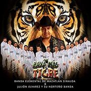 Una Raya Más Al Tigre