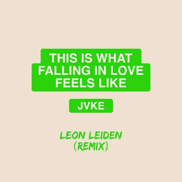 this is what falling in love feels (Leon Leiden Remix)