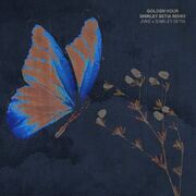 golden hour (Shirley Setia Remix)