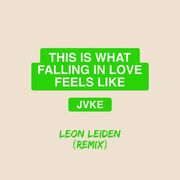 this is what falling in love feels like (Leon Leiden Remix)