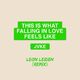 this is what falling in love feels (Leon Leiden Remix)