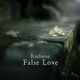 False Love