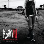 Korn III: Remember Who You Are