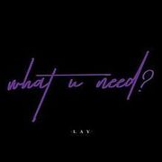 What U Need?