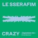 CRAZY (Japanese ver. / Party Remixes)