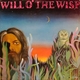 Will o’ the Wisp