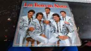 Ojos Negros Nunca Engañan