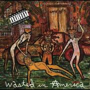 Wasted in America