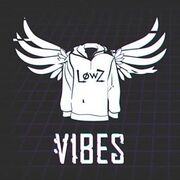 Vibes