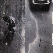 Una giornata uggiosa