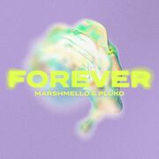 Forever (feat. pluko)