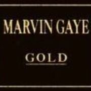 Série Gold: Marvin Gaye