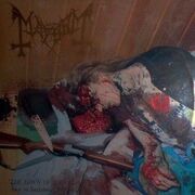 The Death Of Our Friend