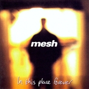 In This Place Forever