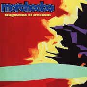 Fragments Of Freedom