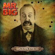 ...The Stories We Could Tell