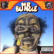 Mr. Bungle