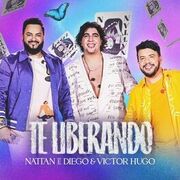 Te Liberando (Ao Vivo)