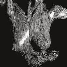 Oscar Acceptance Speech