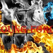Young Force Part.2