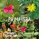 Primavera