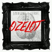 Dimensiones Y Cuerdas