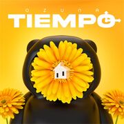 TIEMPO