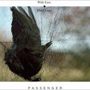 Wide Eyes Blind Love