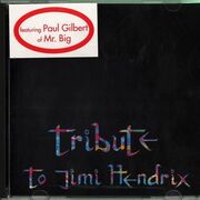 Tribute To Jimi Hendrix
