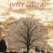 Another Perfect World