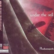 Under The Veil