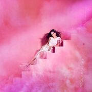 Você Aprendeu a Amar?