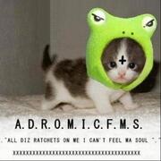 A.D.R.O.M.I.C.F.M.S.