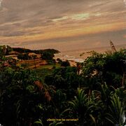 ¿Quien Trae Las Cornetas?