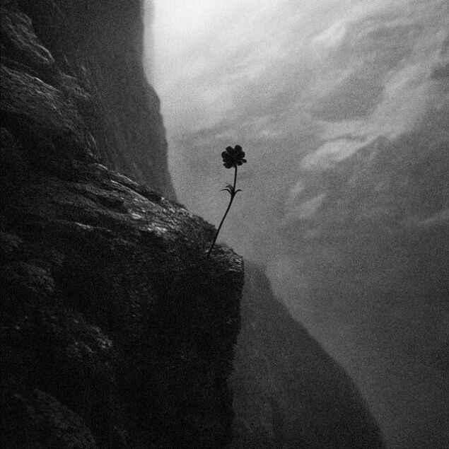 Your Favorite Jeans (ft Melosun)