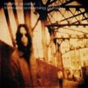 Tomcats Screaming Outside