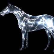 disappearance testee