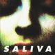 Saliva