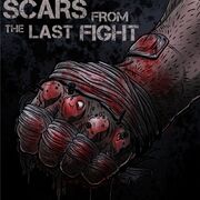 Scars From The Last Fight