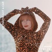 So, You've Got a Car