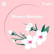 Spotify Singles
