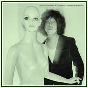 How To Live With a Phantom