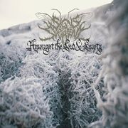 Amongst The Low & Empty