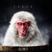 The Art Of Slowing Down