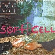 Cruelty Without Beauty