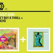 Can’t Buy a Thrill / Gaucho