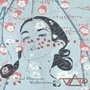 Reall Illusions: Reflections