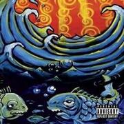 Everything Under the Sun